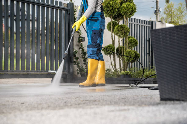 Animal Enclosure Cleaning in Battle Creek, NE